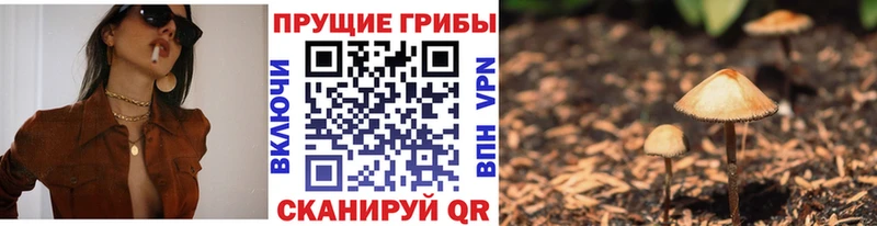 Псилоцибиновые грибы Psilocybine cubensis  Томмот 